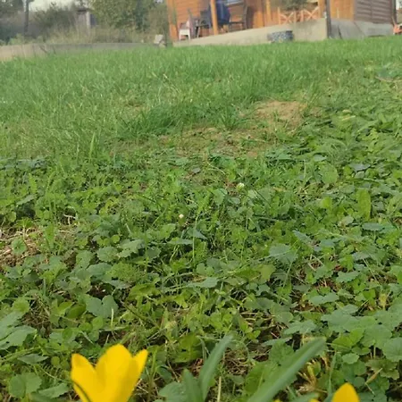 Jos 5 Minuta * ג'אגודינה