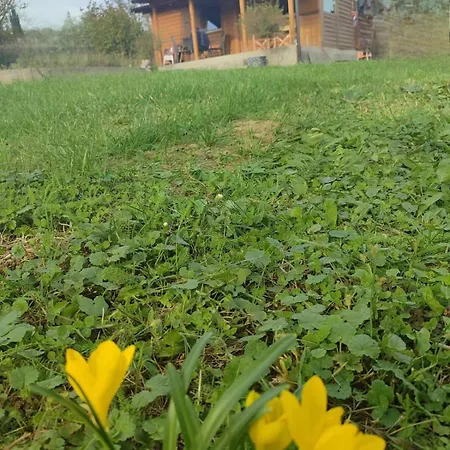 Jos 5 Minuta * ג'אגודינה