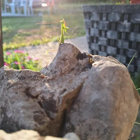 Jos 5 Minuta בית נופש