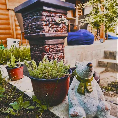 Jos 5 Minuta ג'אגודינה